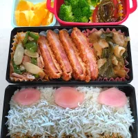 🍀2025/0605(木)ハムカツ弁当| ともちんさん