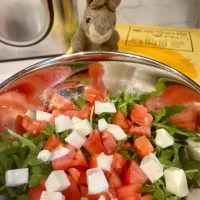 2025/6/4  なんちゃってカプレーゼサラダ　Tomatoes, Mozzarella and Arugula Salad|19 Boys & 野鳥さん