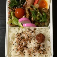 鶏ハンバーグ＆鶏塩胡椒焼き弁当|まちゃさん