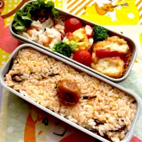 |✂︎KH.H.M✂︎さん