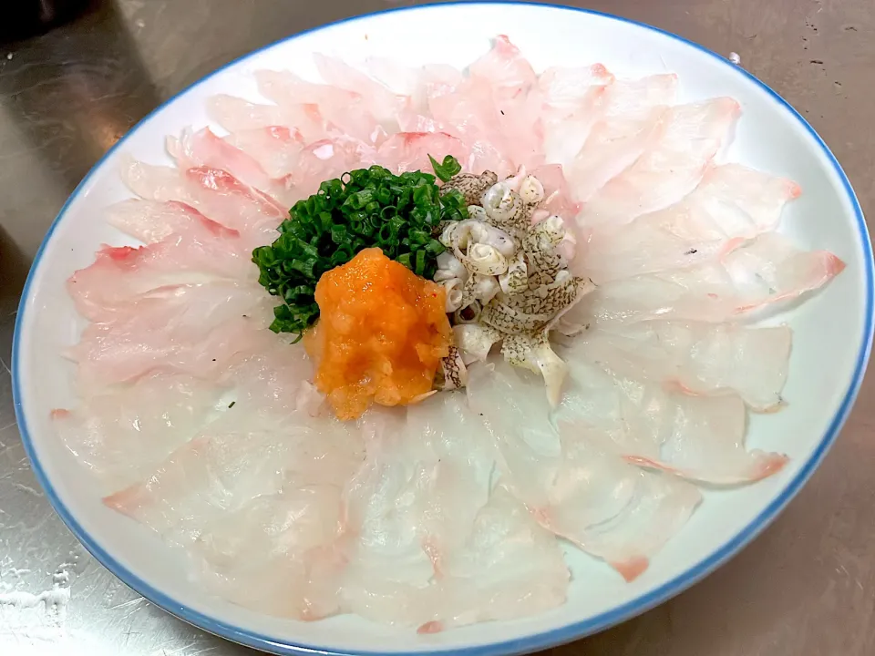 メニュー変更の理由はコレ アラ🐟(ハタ、クエ、キアラ)の身が凄すぎて、半身は薄造り、コラーゲンたっぷりの皮は湯引き氷〆 小ネギ、手作りもみじおろしと橙酢を使ったフグ刺用ポン酢で|🐈⸒⸒⸒⸒つるのダンス🐈🐾さん