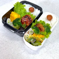 2025年6月6日お弁当|もぐぷーさん