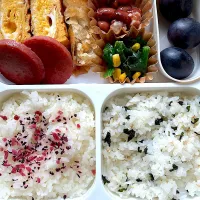 今日の大学生男子弁当🍱|はぴたさん