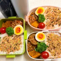 今日のお仕事弁当♪2025.6.6|ぐぅさん