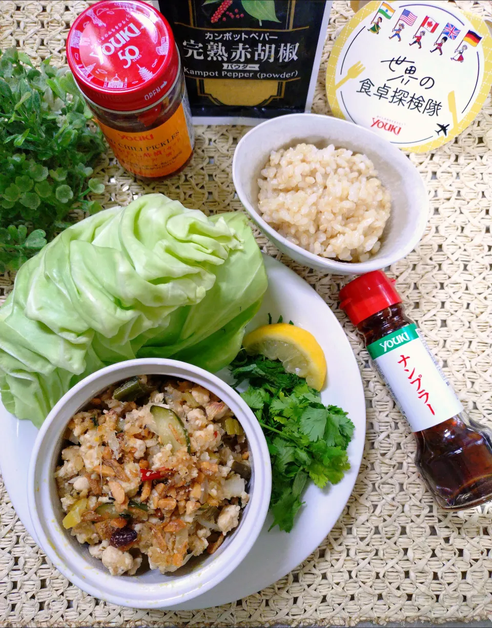 🇱🇦 ラープ・ムー＊ひき肉のスパイシーサラダ ·͜·♡|fumiさん