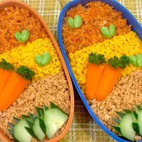 三彩弁当