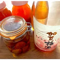 我が家の梅酒たち👀今年も仕込む？|ワイントンさん