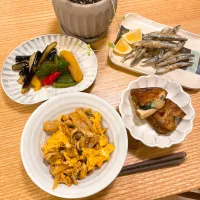 夜ごはん|かなさん