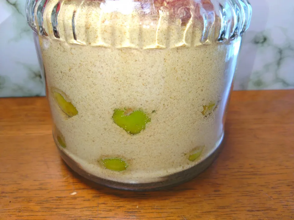 梅シロップ|秀美«シュウビ»さん