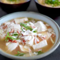 胃腸に優しいし豆腐とネギのとろみ餡|てつやさん