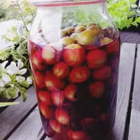 小梅でカリカリ梅