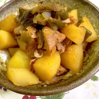 じゃがいもと豚肉と長ネギの煮物🥔|keitanさん