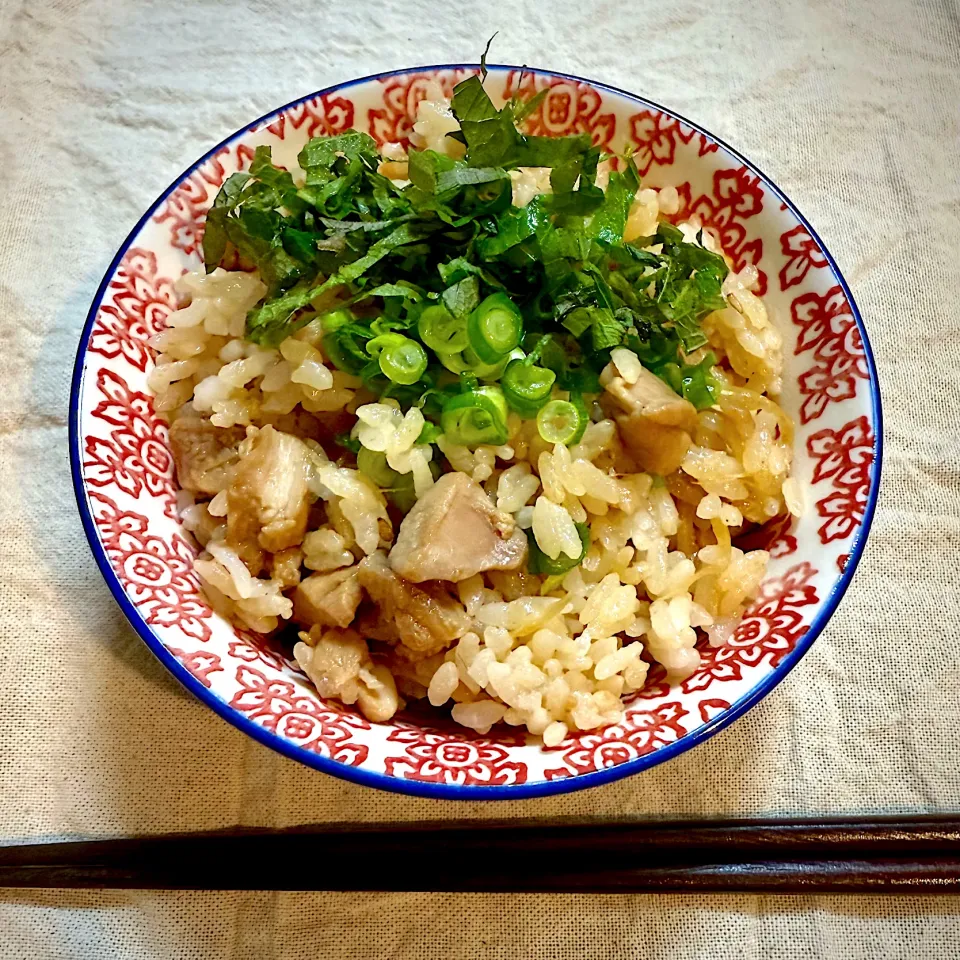 鶏飯|なか★やまさん