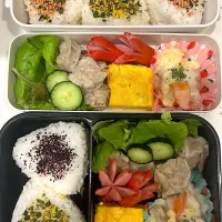 7.6.9 お弁当記録|まんちきさん