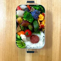 6月9日お弁当|auloraさん