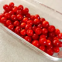 ユスラウメ