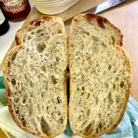 Crumb Shot (photo 2)|gonbenさん