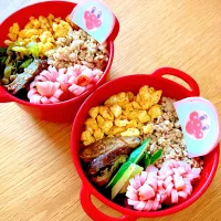夫と次女のお弁当🍱🍙|シズソラさん
