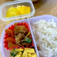 肉じゃが弁当| しばざきまりさん