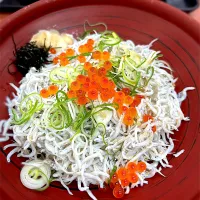 しらすいくら丼