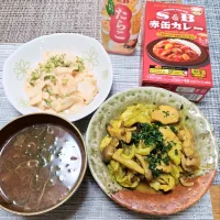 『キャベツと鶏肉のカレー炒め』|seri-chanさん