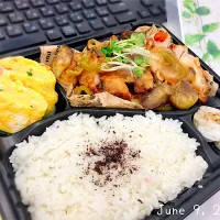 鶏の野菜たっっぷりあんかけ弁当✨️| Tsuu_chan‪ ·͜·♡‬さん