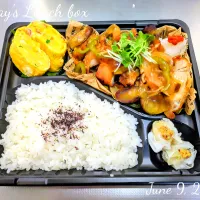 🐓鶏と🍆🧅野菜🫑🥕の甘酢あんかけ🍱| TakeBooさん
