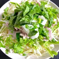 薬味たっぷりのサラダうどん|chilipeさん