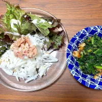 今日収穫した大根のサラダと葉のふりかけ|cocoさん