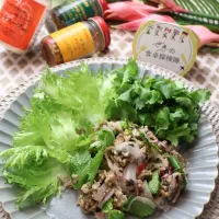 🇱🇦ラープ・ムー🇱🇦| めいめいさん