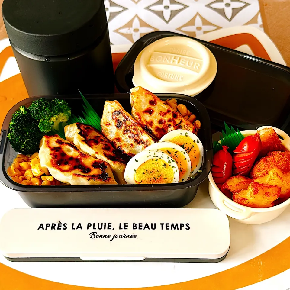 6月10日のお弁当|ぐりさん