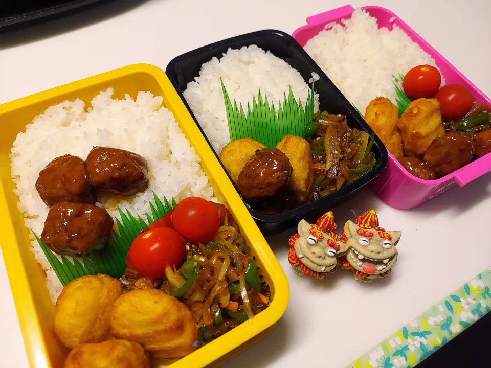 夫弁当､娘弁当､私弁当|みどりさん