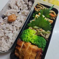 ☆高校生弁当☆雑穀米、梅、金平牛蒡、野菜チヂミ、筑前煮、ブロッコリー、鶏照焼、キウイ、お菓子|ｼｮｺﾗさん