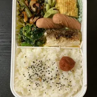 アカカマスの塩焼弁当|まちゃさん