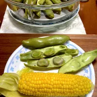 とうもろこし🌽とそらまめくん|ももさん