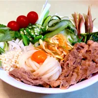 具沢山薬味うどん牛肉トッピング|マニラ男さん