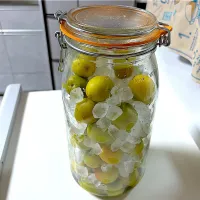 梅仕事〜梅シロップ作り|ミントさん