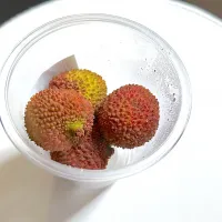 生ライチ|まぁさん