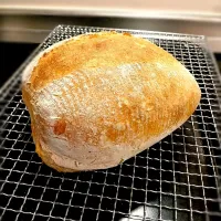 自家製酵母でライ麦カンパーニュ