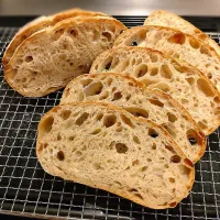 自家製酵母でライ麦カンパーニュ（断面）