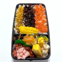 旦那さん3日間お弁当day|爰音さん