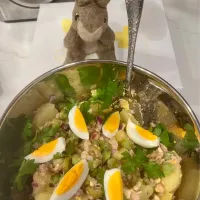 2025/6/10   青いひよこ豆とツナのサラダ   Potuguese Salad with Green Galvanzo Beans and Tuna| 19 Boys & 野鳥さん