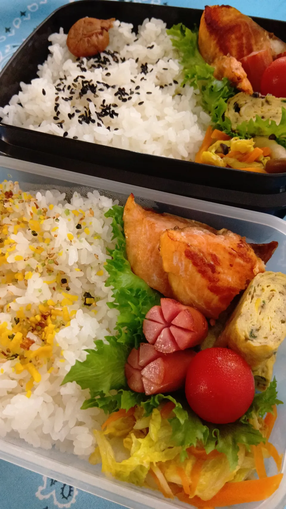 白菜炒め鮭弁当|yayoi.Kさん