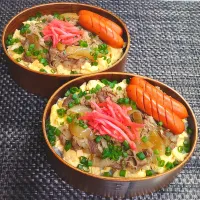 母とムスコのラブラブおソロ♪簡単ふわたま牛どーん弁当|からあげビールさん