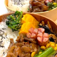 毎日弁当|ふうママんさん