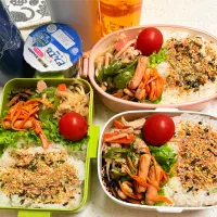 今日のお仕事弁当♪2025.6.11|ぐぅさん