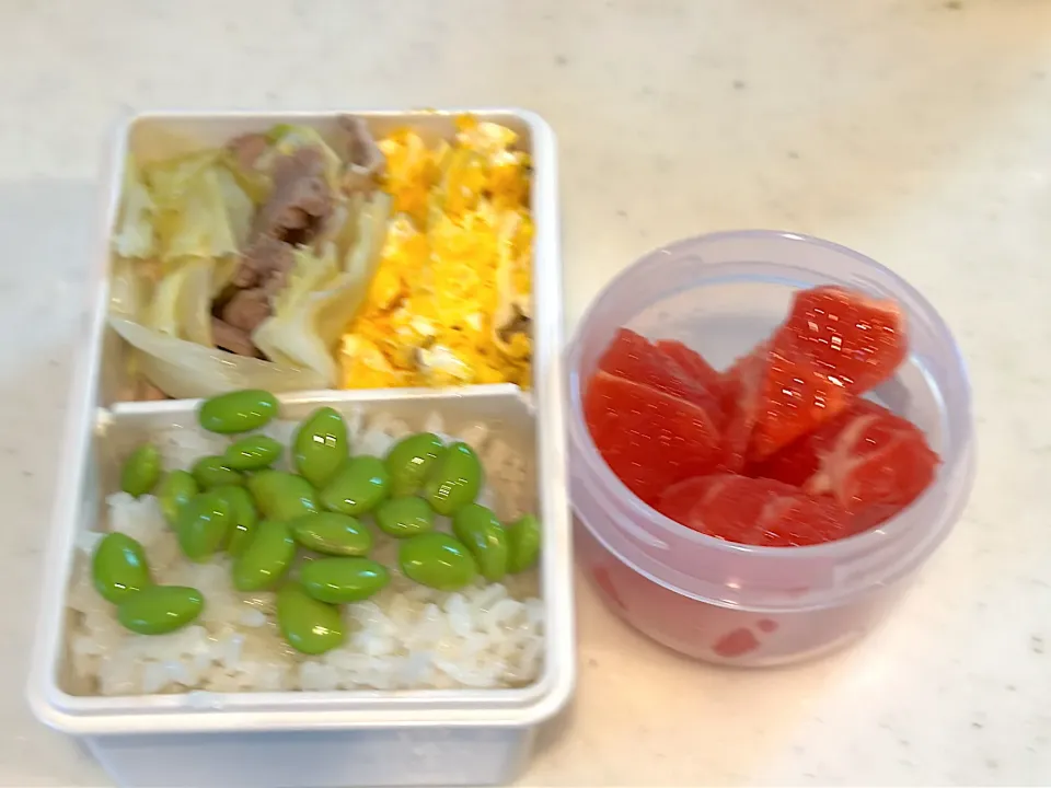 今日のお弁当　自分の分|かれんさん