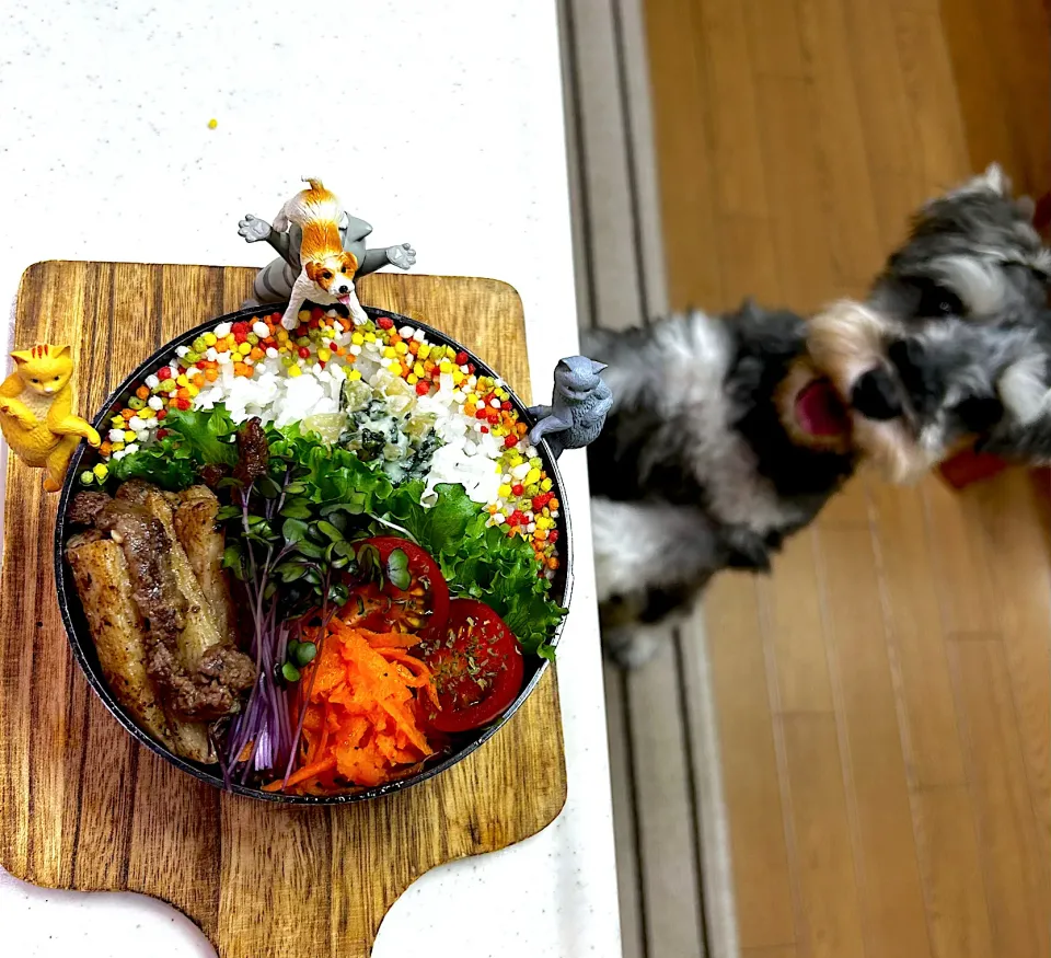 水曜テケトー弁当|cafe3733さん