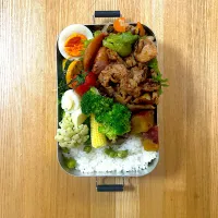 6月11日お弁当|auloraさん