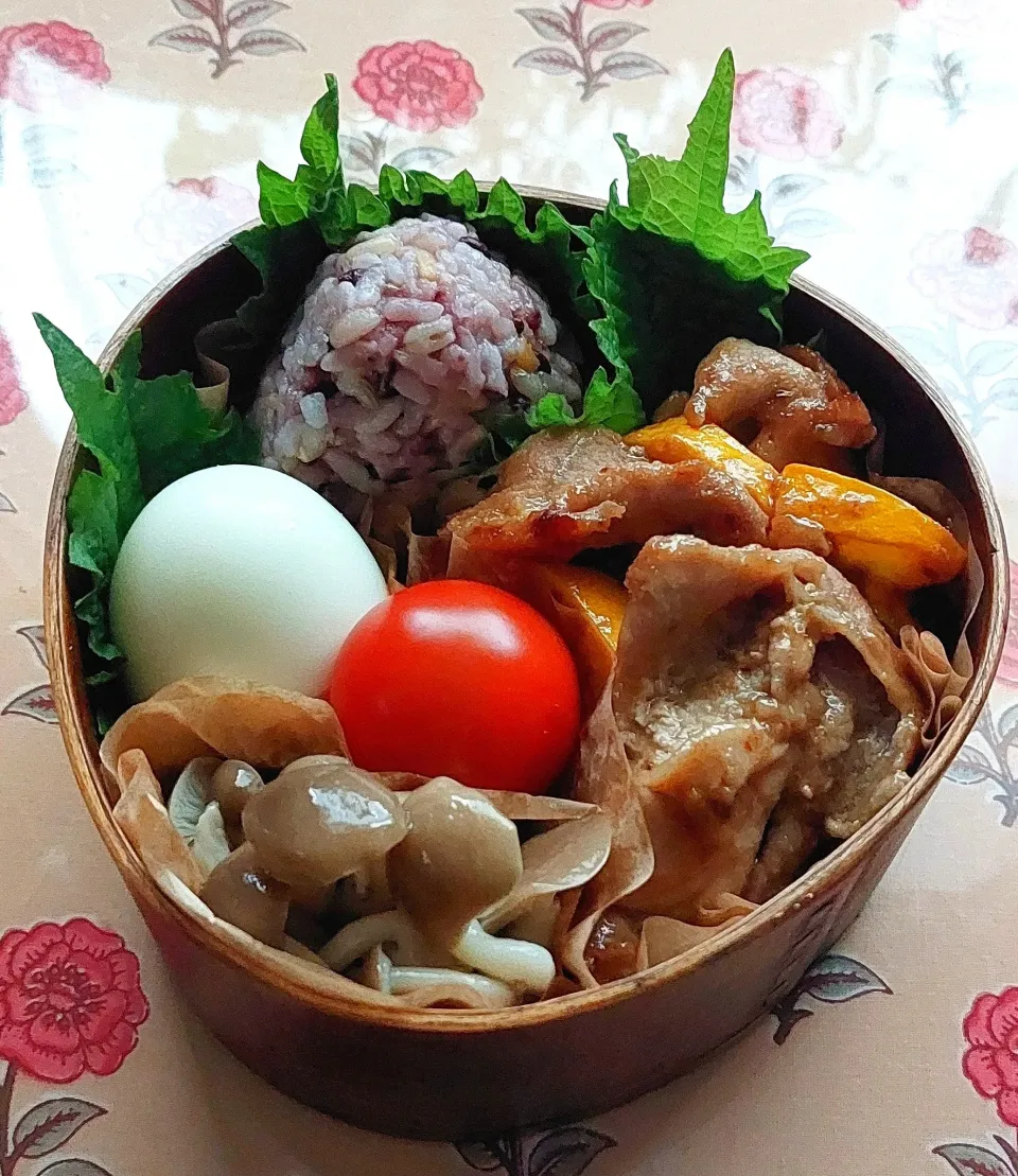お弁当🦊2025.06.11|きつねさん